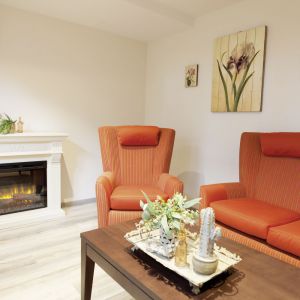 Ein gemütliches Wohnzimmer mit orangefarbenen Sesseln, einem Kamin und Pflanzen auf einem Holztisch, inspiriert von Posener Design.