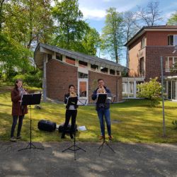Drei Musiker spielen Trompete im Freien vor einem modernen Gebäude an einem sonnigen Frühlingstag.