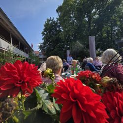 Ein sommerliches Treffen im Freien, umgeben von leuchtend roten Blumen und üppigem Grün unter klarem Himmel.