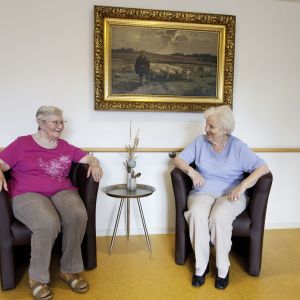 Zwei ältere Frauen sitzen lächelnd auf Sesseln in einem gemütlichen Raum und unterhalten sich unter einem Gemälde.