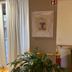 Ein Bild mit Blumenmotiv hängt im Flur über einer Pflanze, direkt neben einem Feuerlöscher-Schild.